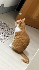 Louis Lu