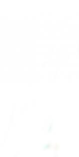 Amirhossein Salahatpour