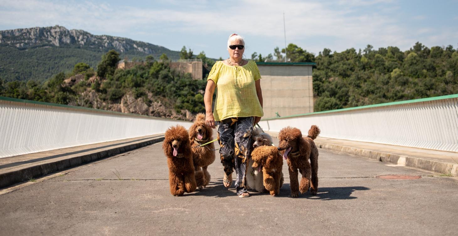 Wat zegt mijn poedel: Introductie