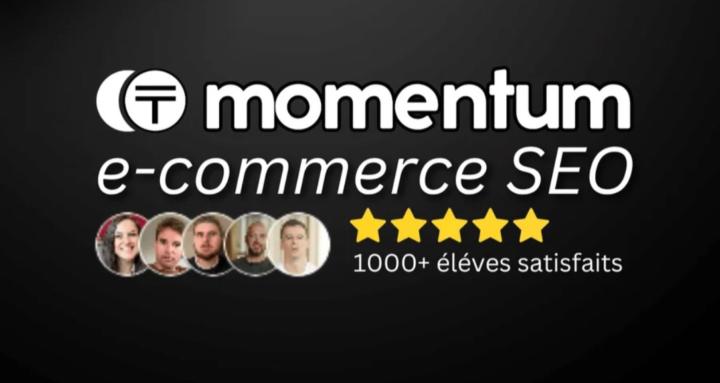 Momentum - Ecommerce SEO