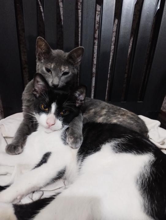 Lucia Naveda