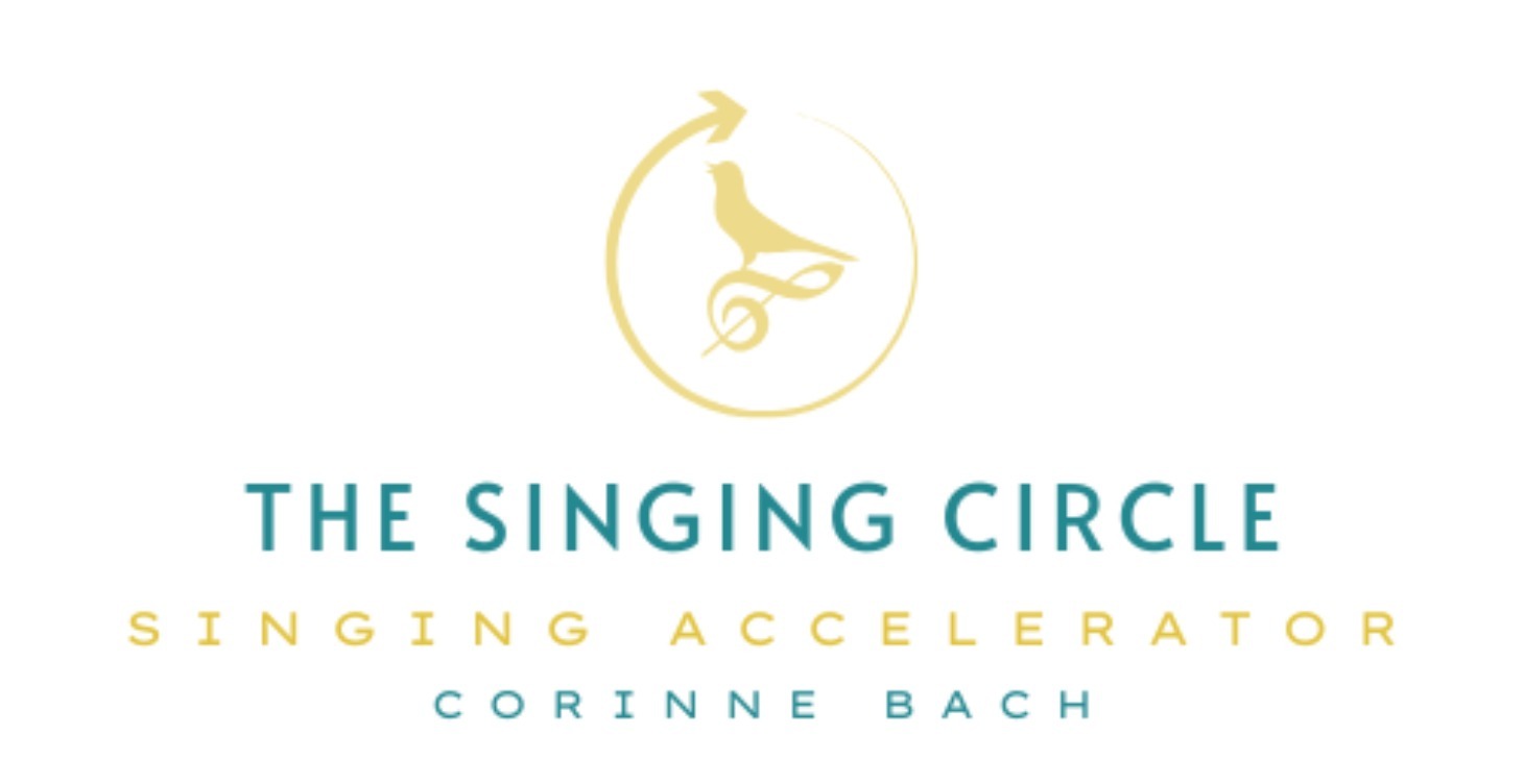 Singing Accelerator - VIP