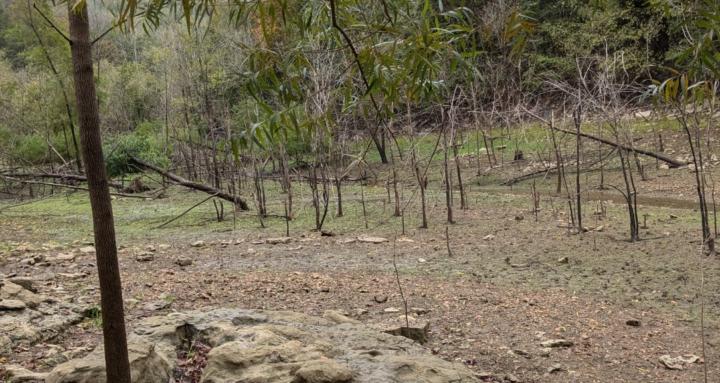 Triple Creek handyman