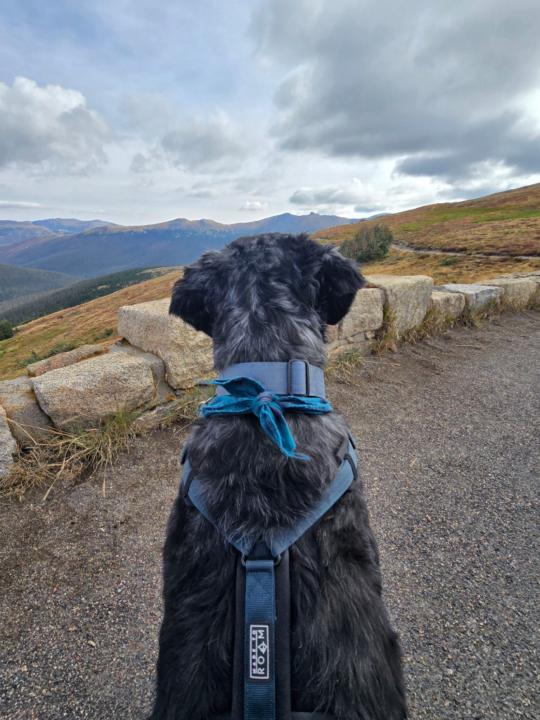 Sayra Bassett