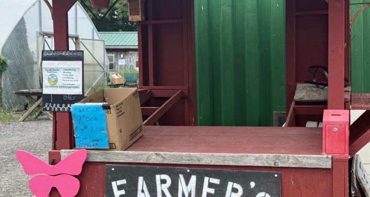 Homesteading with Naomi