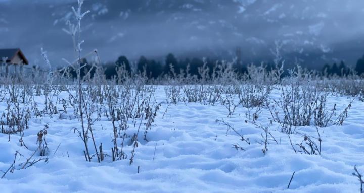 Learn Creative Freedom 