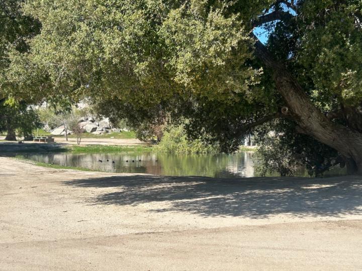 Chris E Avendaño Higareda