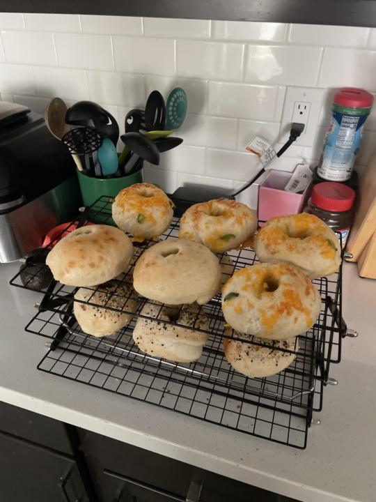 Yesterday’s bake. Today is new. What do you want to see?