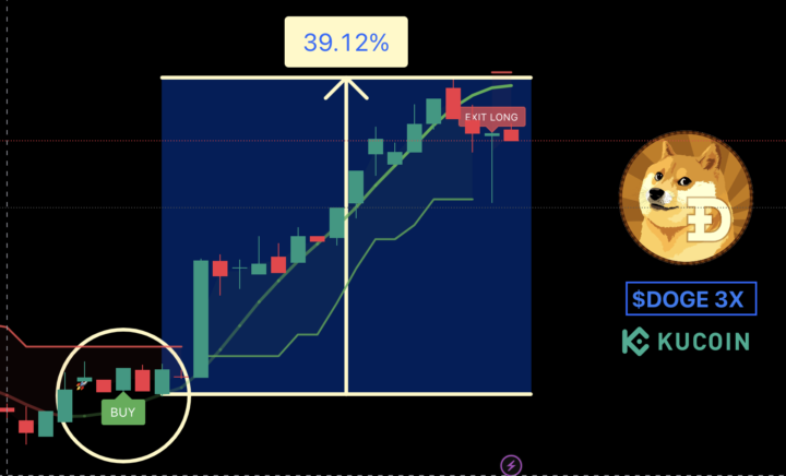 $DOGE moved 11% in 24 hours my bot did 39%!