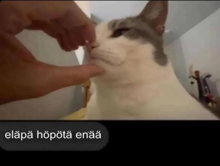 Annukka S