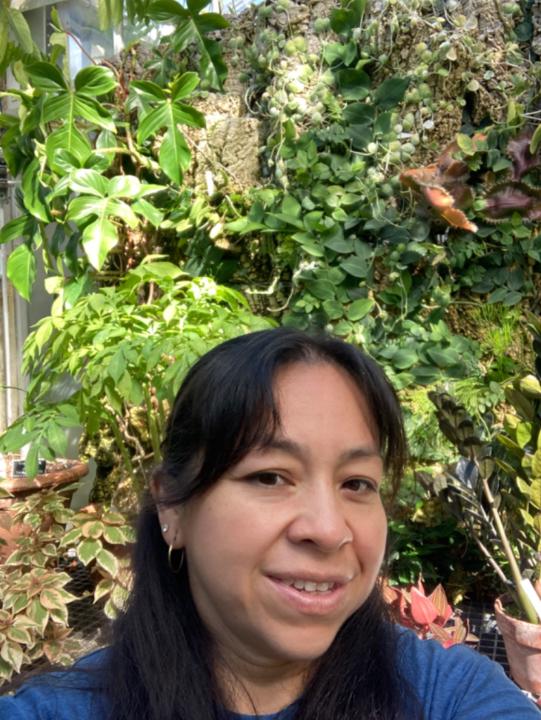 Sanjuana P Baca Gómez