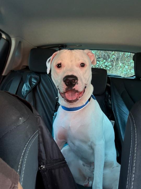 Aridane Segura Godoy