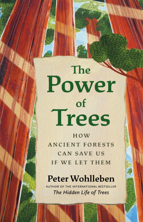 Book Review - The Power of Trees by Peter Wohlleben