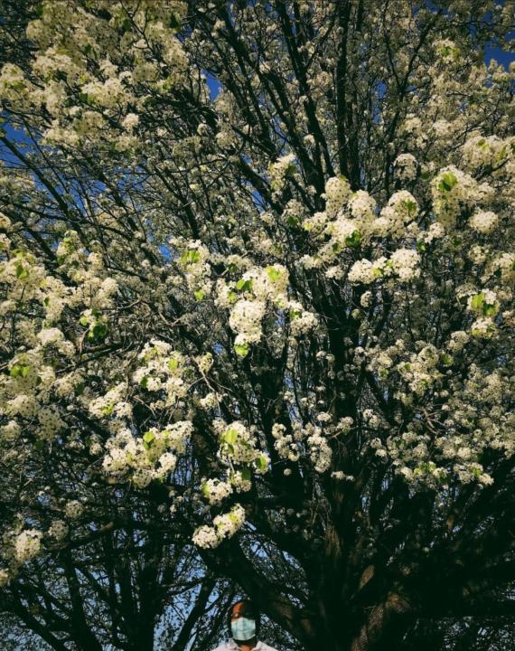 David Anderson Anderson