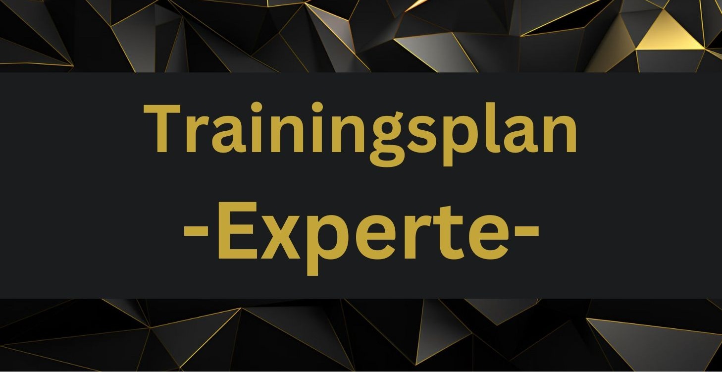 Experten Trainingsplan