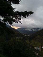 Nestor M
