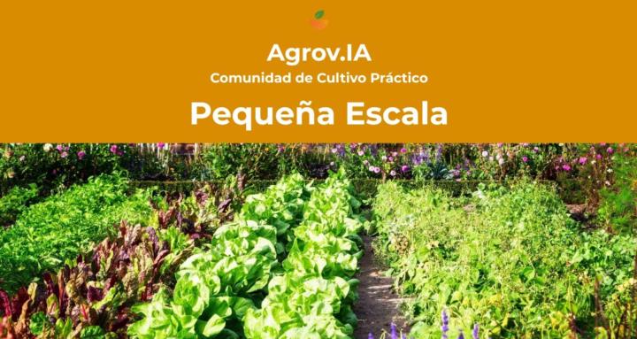 Pequeña Escala