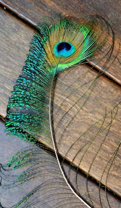 Sue Davies