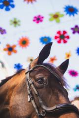 Blau Audrey
