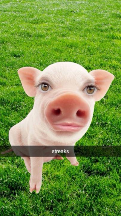 Kelbie Linebaugh