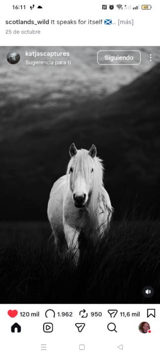 Paula Fernandez Herrero
