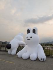 巧玲 劉