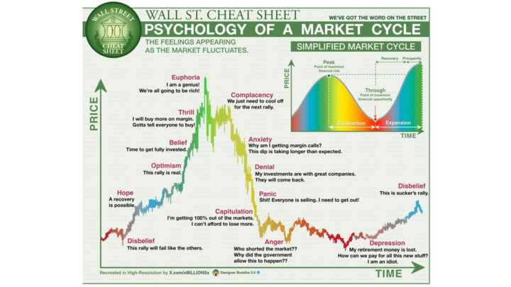 Bull Market Clarity 👓