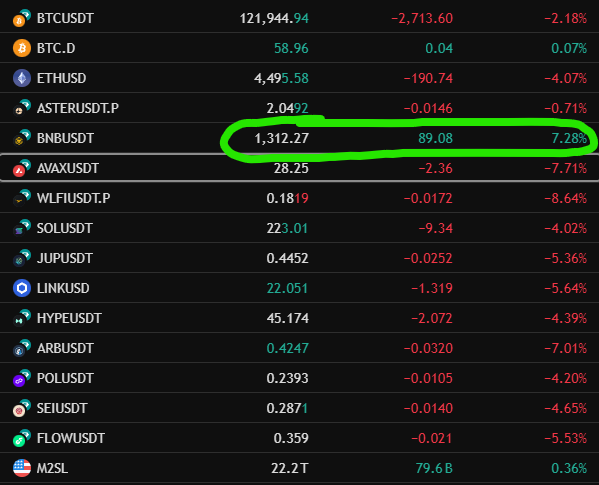 BNB Season Is Here While The Rest of the Market Slumps!