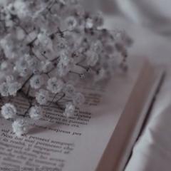 Shahad Rr