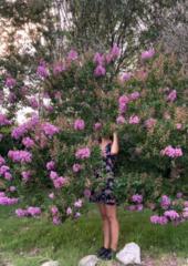 Florencia Tatasciore