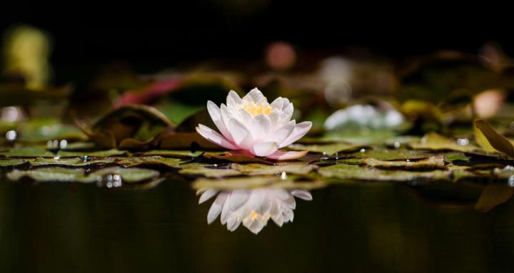 Reclaiming Me Healing