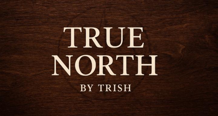 True North
