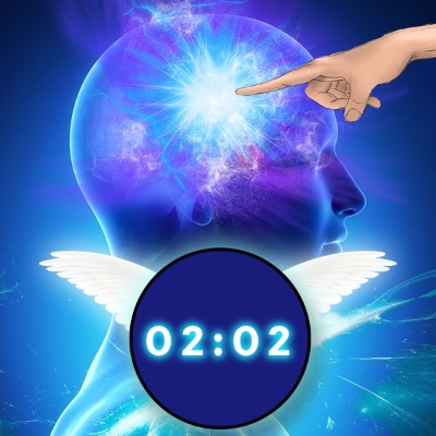 Zeus Ww