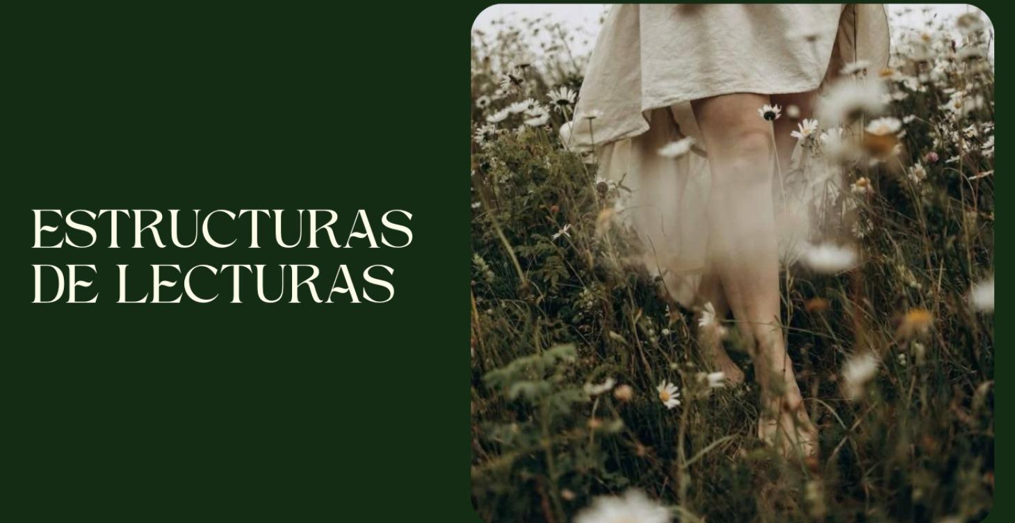 Estructuras de lecturas