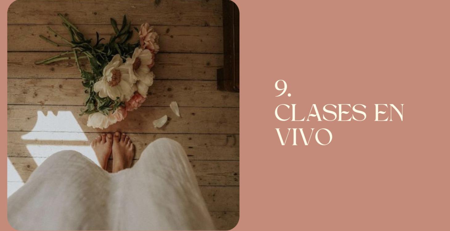 Clases en Vivo