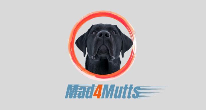 Mad4mutts Dog Training