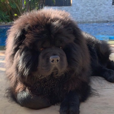 Marcus Prosperi-Porta