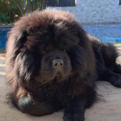 Marcus Prosperi-Porta