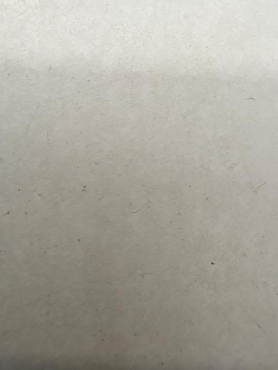 Thomas Giannetti