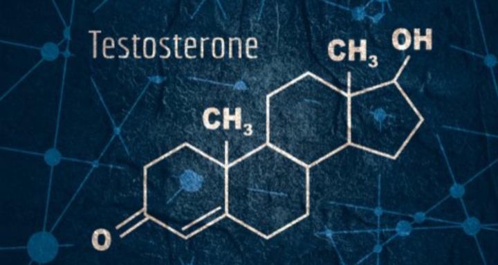 Testosterone 