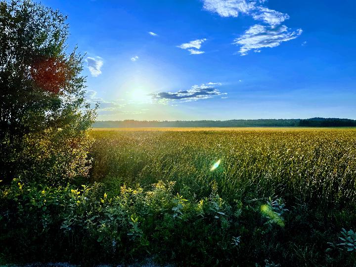 Picture selection-please vote for your favorite