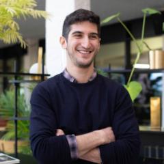Amnon Ferber
