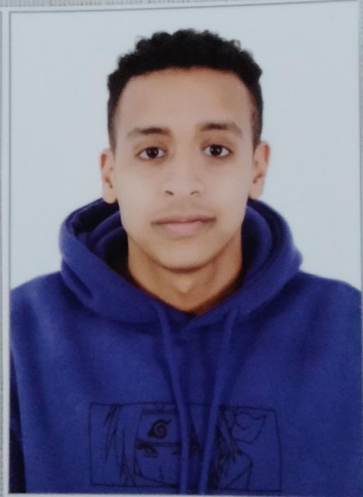 Mahmoud Essam