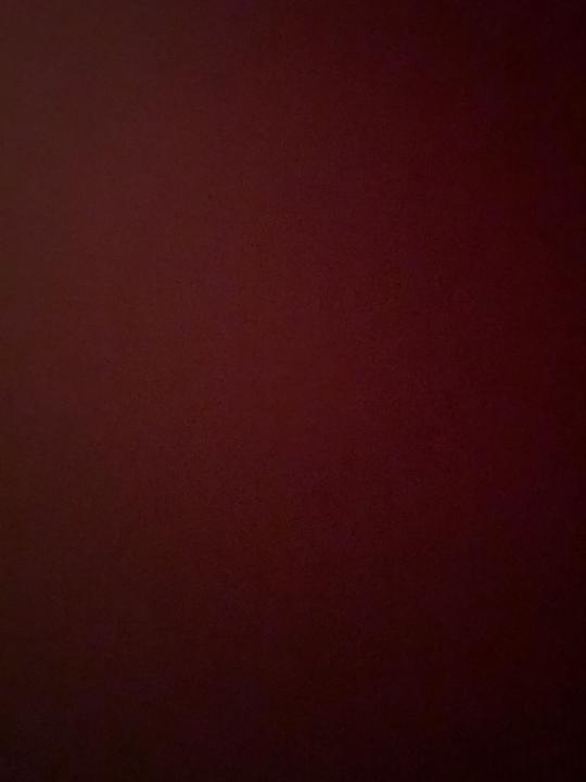 Mikell Castillo Coronel