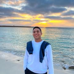 Mohamed Hossam