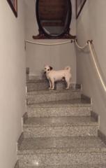 Elisabetta Martignoni