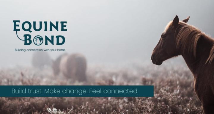 Equine Bond