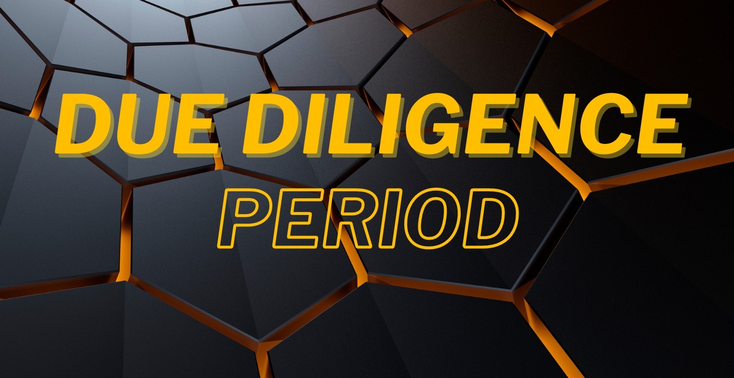 Step 6: Due Diligence Period  What to Expect