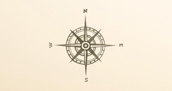 Curious Collective Community