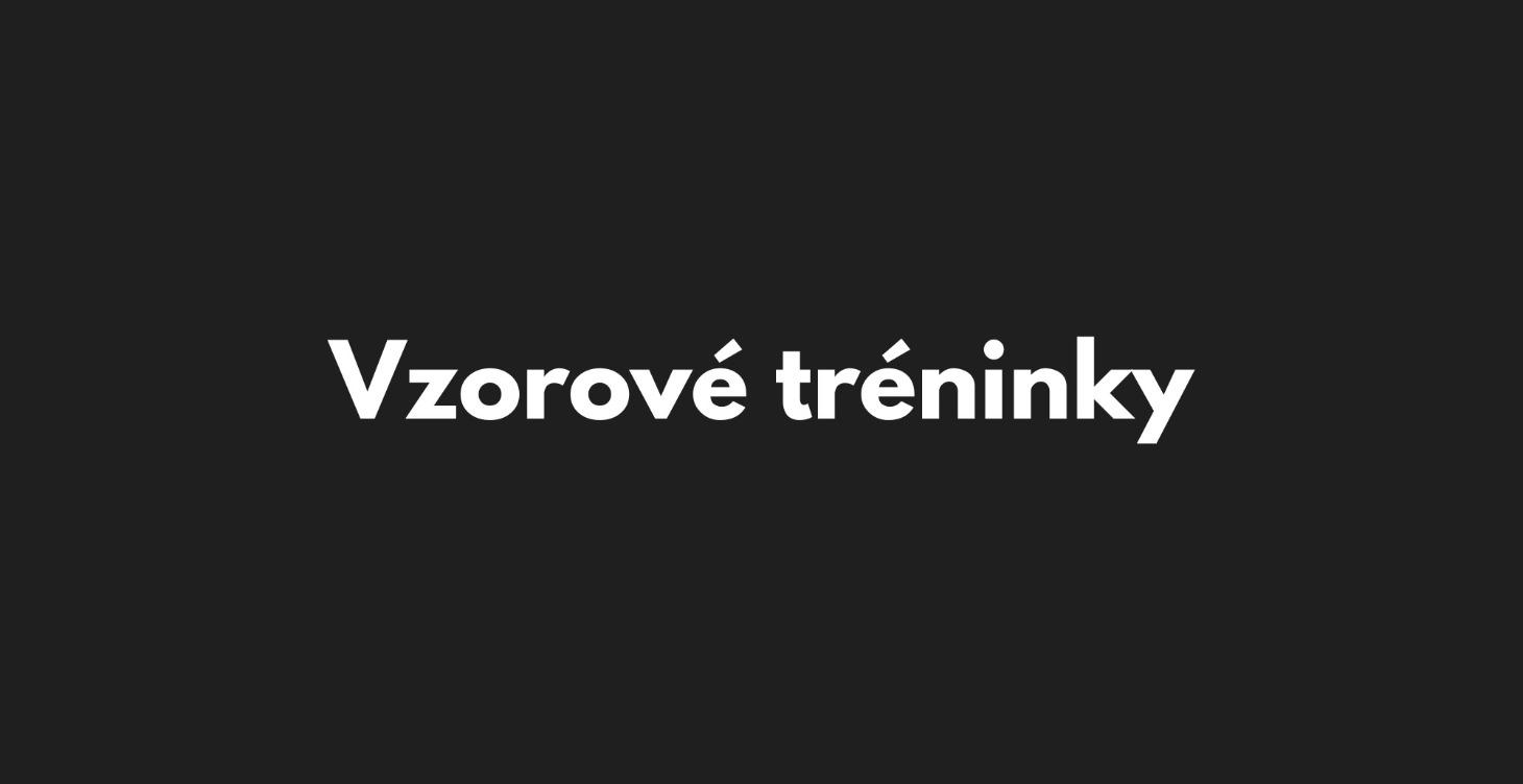 Vzorové tréninky - VIP